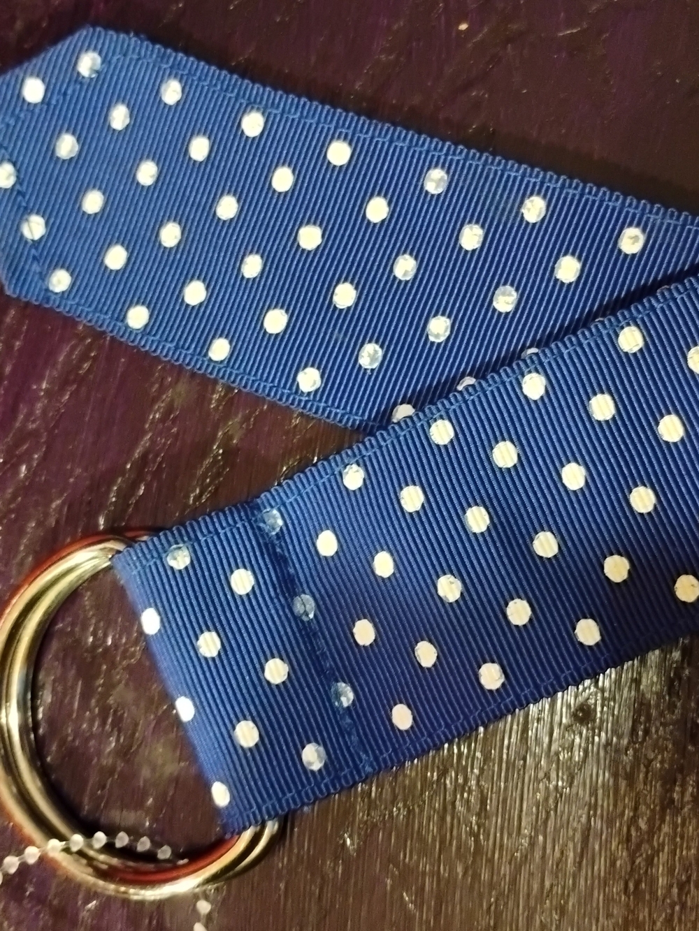 Blue Polka Dot Webbing Belt with Double Ring Buckle